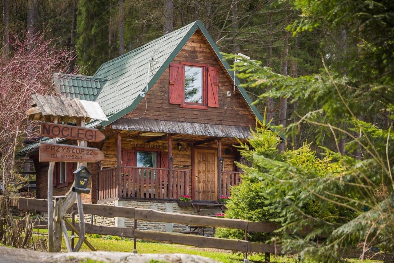 Holiday home Lesinowka *